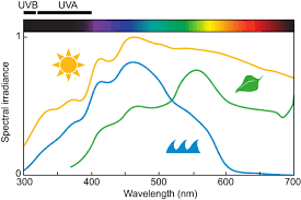 This page is about the various possible meanings of the acronym, abbreviation, shorthand or slang term: Photoreception And Vision In The Ultraviolet Journal Of Experimental Biology