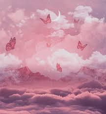 Cute Butterfly Wallpaper Vsco Aesthetic Image By