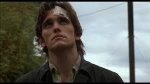 Matt brown holds degrees in chemistry (bsc) and biomolecular science (mres). Drugstore Cowboy 1989 Gus Van Sant Cinematography By Robert Yeoman Drugstore Cowboy Young Matt Dillon Matt Dillon