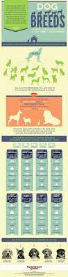 Dog Breeds Infographic Dog Breeds Best Dog Breeds Apartment Dogs Breeds