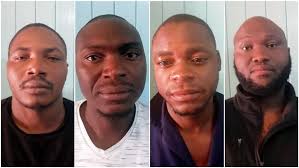 Meat skelms in court