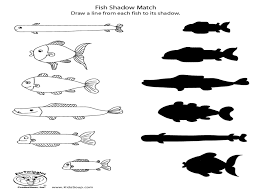 Fish Shadow Match Kindergarten 2nd Grade Worksheet Preschool Worksheets Animal Worksheets 2nd Grade Worksheets