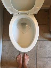 Check spelling or type a new query. How To Remove Hard Water Stains From Toilets The Forked Spoon