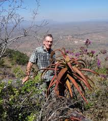 Image result for Aloe rulkensii