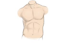 How to draw in the unique anime/manga style. How To Draw A Torso Easy Drawing Art