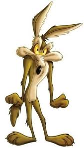 Coyotes On Pinterest