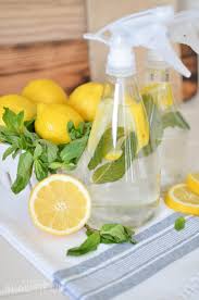 natural homemade all purpose cleaner