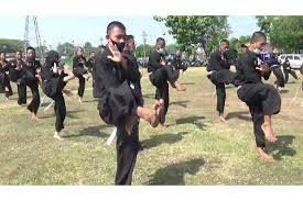 Jurus pencak silat psht meliputi 36 jurus dimulai dari jurus 1 sampai dengan jurus 36. Gelar Pendadaran Psht Sragen Tetap Patuhi Protokol Kesehatan Covid 19