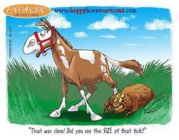 Lyme Disease In Horses By Brian S Fox Run Equine Center Facebook