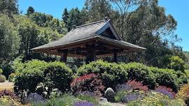 Simplicity: A Daylong Retreat