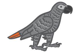 Free parrot vector svg, ai file. African Grey Parrot Svg Cut Files Free Home Icon Silhouette Whatsapp Logo Instagram Logo
