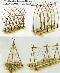 In making this you will need scissors, sticks, strings. Diy Trellis Ideas For Beans Peas And How They Re Different Milkwood Permaculture Courses Skills Stories