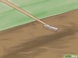 See how to easily start your vegetable and flower plants indoors from seed. How To Plant Vegetable Seeds Outdoors 7 Steps With Pictures