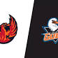 Coachella Valley Firebirds at San Diego Gulls event image