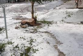 Restaurante tem telhado destruído por chuva forte e granizo em araras. Hortifruti Cepea Fortes Chuvas Atingem Regioes Brasileiras Hf Brasil