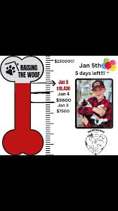 You know what they say about GINGERS 😹 Tango and his favourite dance  partner 😹