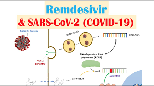 Remdesivir Sars Cov 2 Covid 19 Mechanism Of Action Adverse Effects Anti Viral Properties Youtube