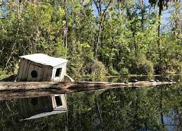 One of america's largest springs is protected within silver springs state park, and visitors can explore the area's natural beauty by boat, foot or horseback. Silver Springs State Park 7 Reasons To Visit Famous Spring
