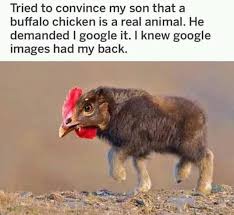 Have You Ever Seen Buffalo Chicken Really Funny Memes Haha Funny Funny Animal Memes