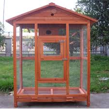 Bird Aviary For Sale Gauteng New Extra Large Fir Wood Wire Mesh Parrot Aviary Budgie Canary Bird Cage Large Bird Cages Bird Cage Design Pet Bird Cage