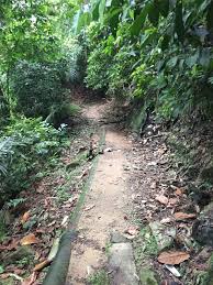 Selayang/batu caves condo, hill view, wifi/netflixnestled in selayang, the property faces the beautiful tropical forest reserve of bukit lagong. Bukit Lagong Fifteen More Minutes