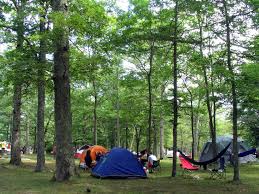 Check spelling or type a new query. Campground Wildwood State Park Wading River Long Island New York