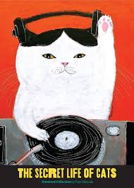 Contact kitty secret on messenger. The Secret Life Of Cats Notebook Collection Funny Kitty Portrait Journals By Japanese Artist 3 Blank Notebooks With Cute And Weird Cat Illustrations Shimada Pepe 9781452180472 Amazon Com Books
