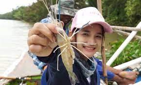 Mimpi Udang Menurut Primbon Tafsir Mimpi