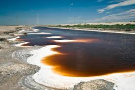 Alviso slough meanders its way through the salt marshes of the refuge and from the park, it is approximately four miles to the open waters of san francisco bay. Visiting The Pond Complexes South Bay Salt Ponds