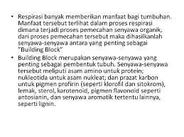 Media pengangkut dan memindahkan hasil proses fotosintesis. Parameter Kehidupan Tumbuhan Dan Hewan Ppt Download