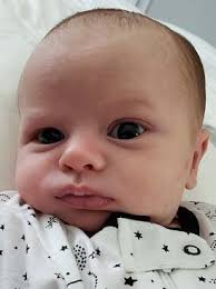 Vol. 24, No. 5 May, 2021 http://www.upstate.edu/gch/academics/newsletter.php