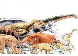 Radiocarbon dating is one of the most widely used scientific dating methods in archaeology and environmental science. Dinosauria Dinopedia Fandom