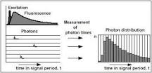 Time-correlated single photon counting (TCSPC)