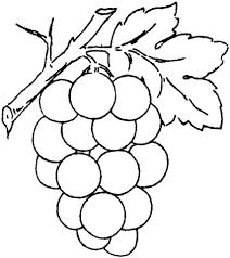 Grape 2 Coloring Page Gif 427 480 Fruit Coloring Pages Free Coloring Pages Grapes Coloring Page