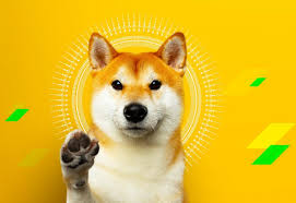 Dogecoin yolo apk is a recently launched simulation game for android mobile phones. Lassen Sie Nicht Locker Bei Doge Warum Das Gewinnpotenzial Der Meme Kryptowahrung Noch Nie So Gross War Stormgain