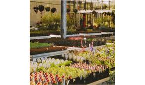 Garten Kern B Gartnerei 63776 Mombris Adresse Telefon Kontakt