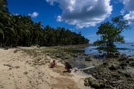 Lounge in the best beaches of the philippines! A Rocky Beach At Siargao Island Philippines Philippines Travel Siargao Island Philippines