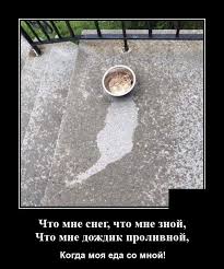 что мне снег что мне зной что мне дождик проливной Demotivatory S Izobrazheniyami Yumor Smeshnye Shtuki Memy
