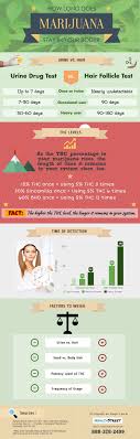How Long Marijuana Lasts In Your System Health Street