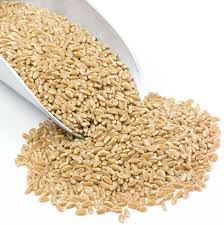 Image result for Prairie Gold