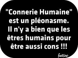 11316 Jpg 600 450 Citations Les Plus Droles Proverbes Droles Citation Enfants