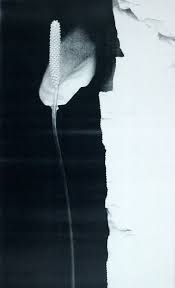 Bildergebnis für Claudio Perna