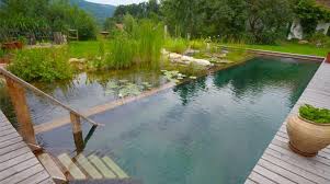 organic natural swimming pools natural swimming ponds natural swimming pools natural pool
