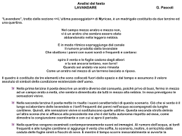 Lavandare Docu Plus