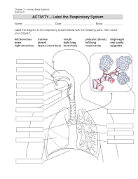Archer Tower Printable Diagram Source Respiratory System Anatomy Human Respiratory System Respiratory System Activities