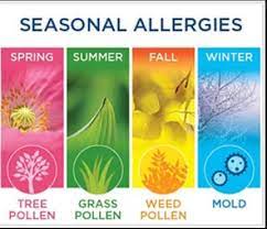 Seasonal Allergies Can Be Alleviated With These Foods