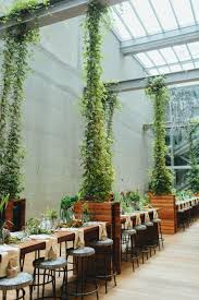 60 Marvelous Indoor Vines And Climbing Plants Decorations Hoommy Com Indoor Vines Plant Decor Plants