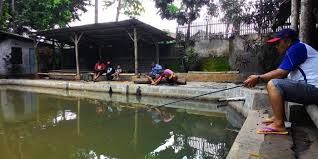 10 Tempat Pemancingan Di Malang Buat Para Mancing Mania