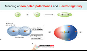 Videoquiz Definition Electronegativity Polar Dipole