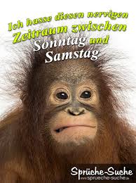 Spruchbild Mit Affe Scheiss Arbeiten Sprüche Sprüche Suche